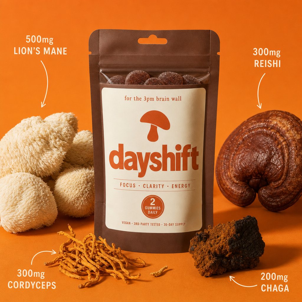 DAYSHIFT on a bright morning counter