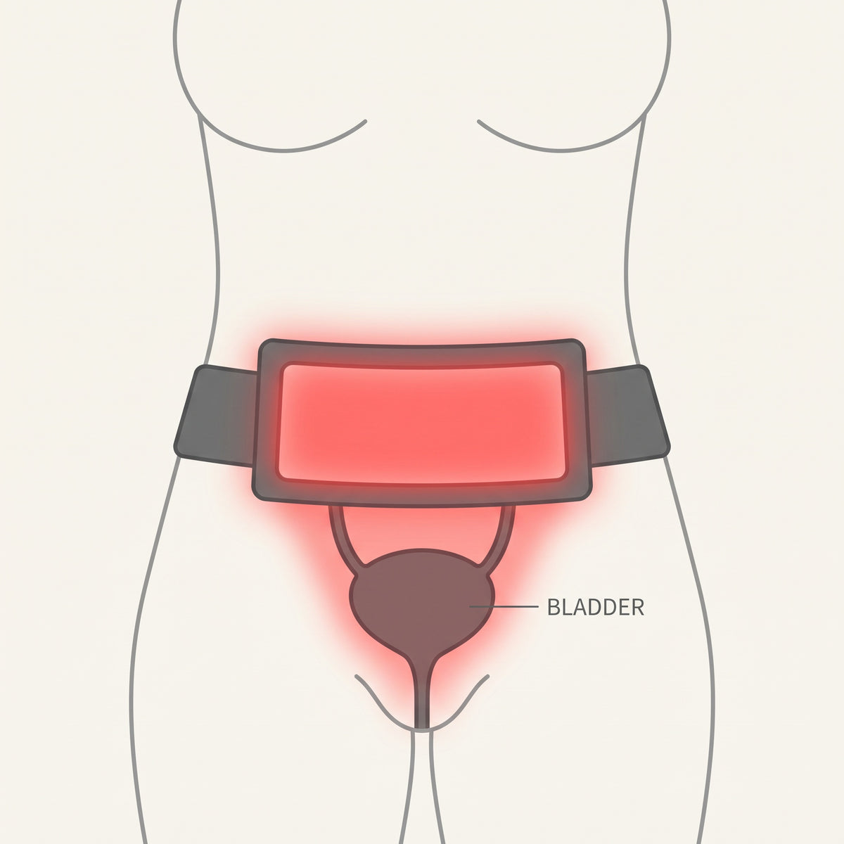 Rensa Red Light Belt