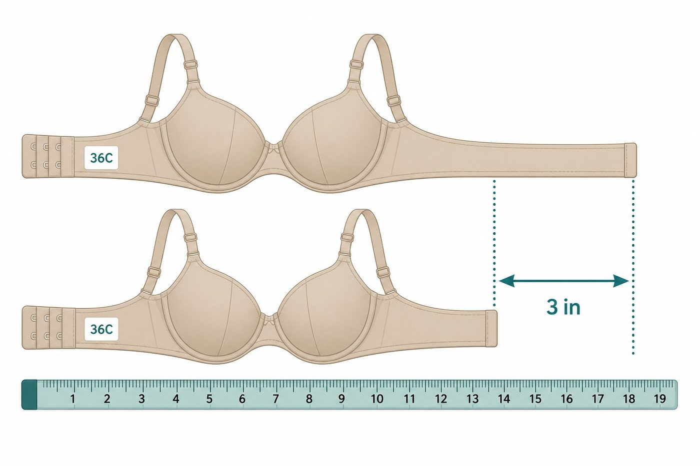 Two bras both labelled 36C with bands 3 inches apart